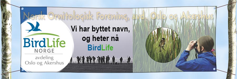 BirdLife OA