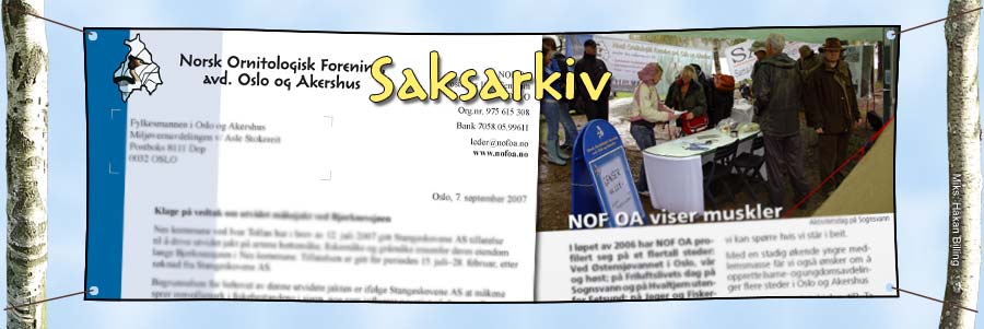 Ekskursjoner og m&oslash;ter