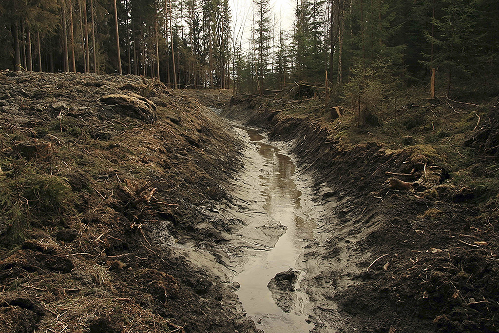 Flakstadm&aring;san etter r&oslash;rutl&oslash;pet