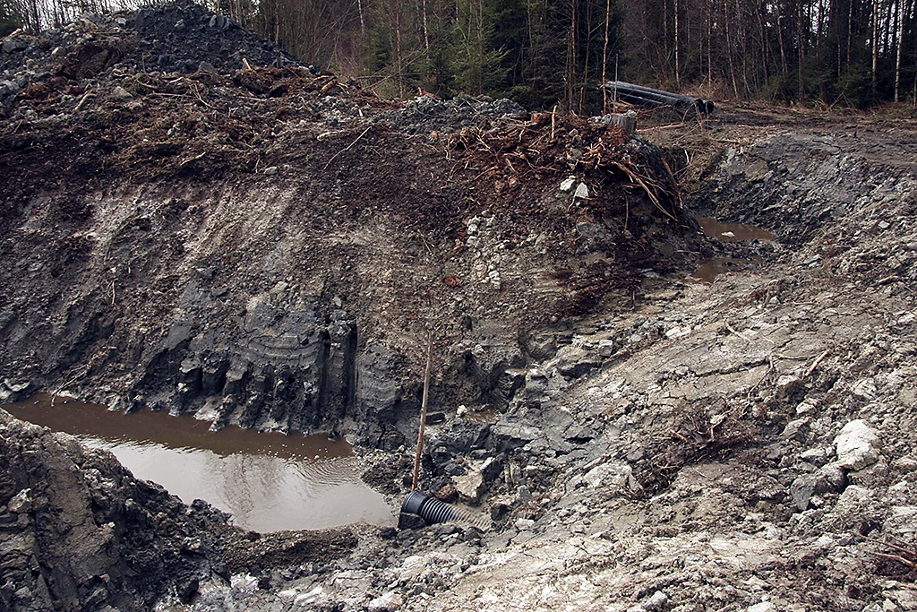 Flakstadm&aring;san r&oslash;rinnl&oslash;pet